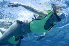 Key West Snorkeling cruise excursion